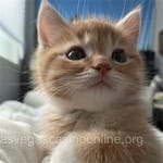 Avatar de Guillermo Duarte